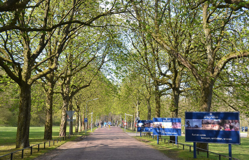 Rondje Sonsbeek Hoge Veluwe Uitkijktorens.nl