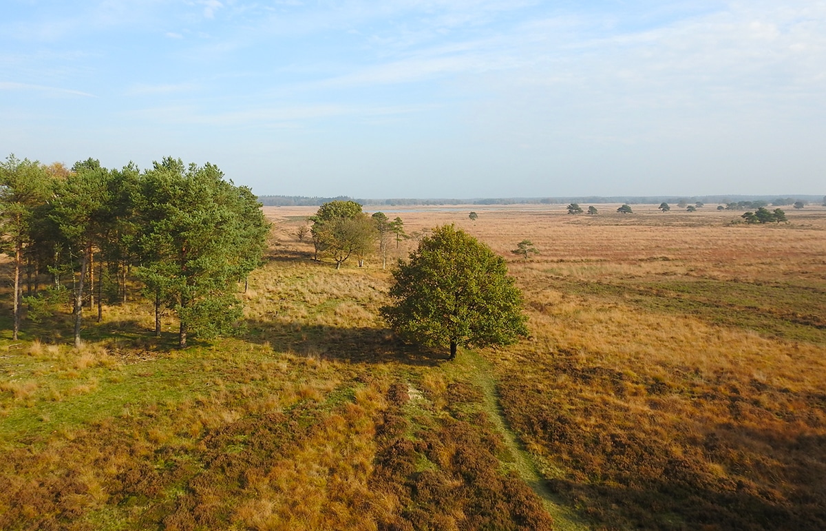 Wandelroute Doldersum - Doldersummerveld