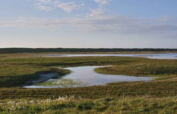 Natuurgebied Noordervroon