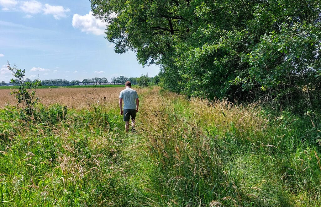 wandelpad in het Moergestels Broek