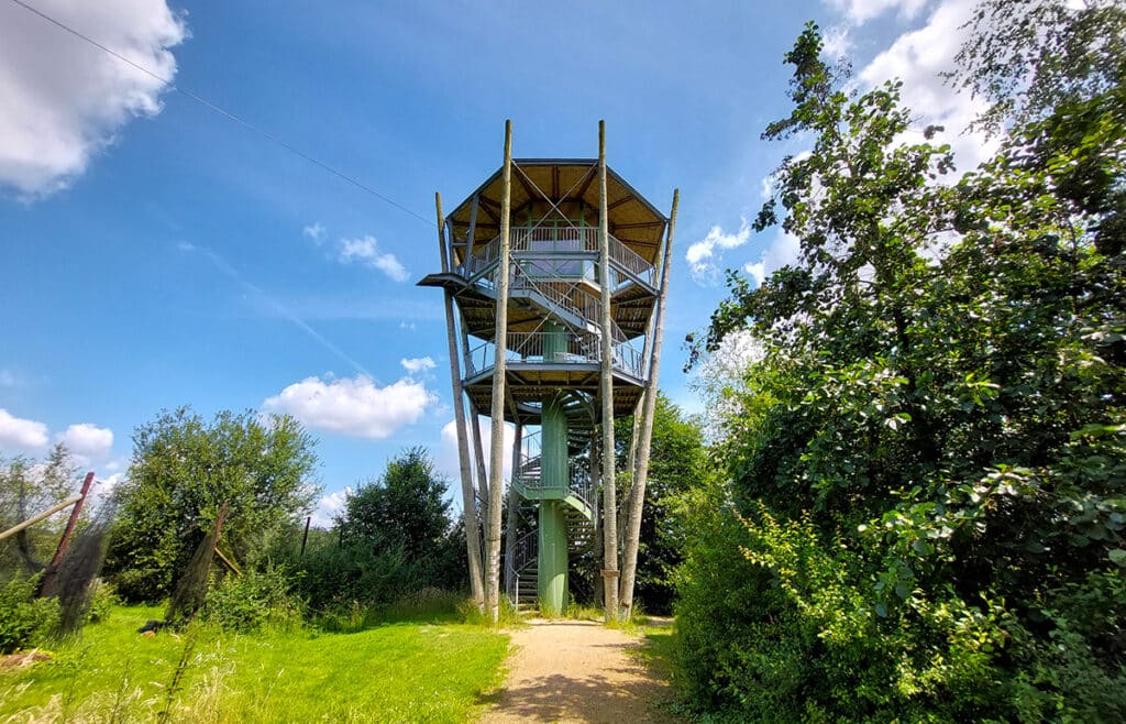 Uitkijktoren De Reuselhoeve