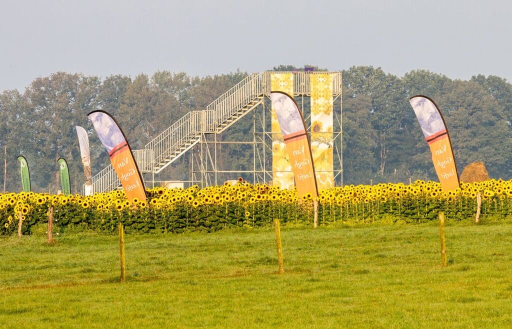 Uitkijktoren Zonnebloemschilderij