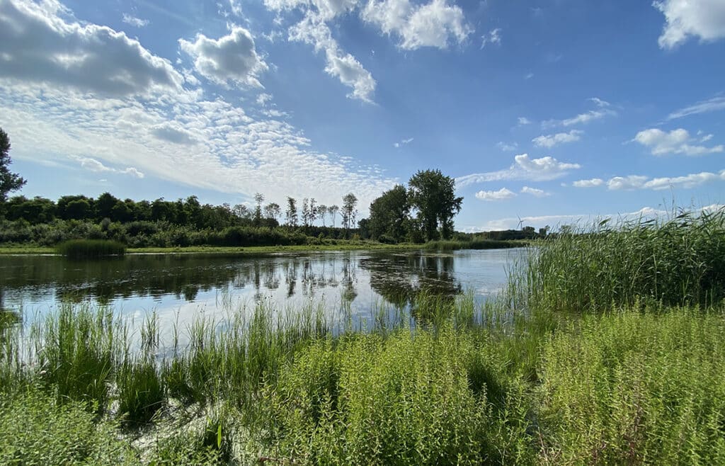 De Stille Kern in Horsterwold