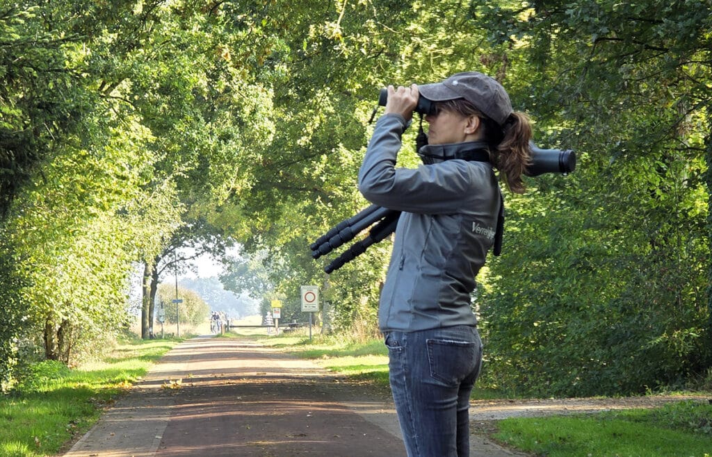Dwingerderveld met verrekijker