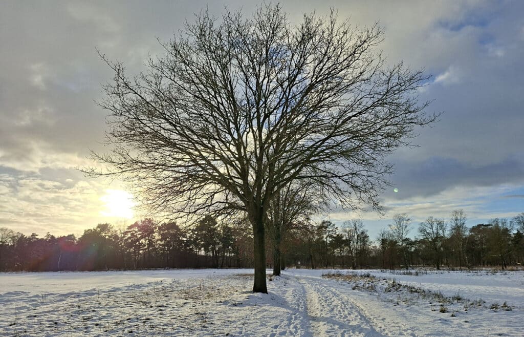 Startpunt wandelroute Blauw - Landschotse Heide