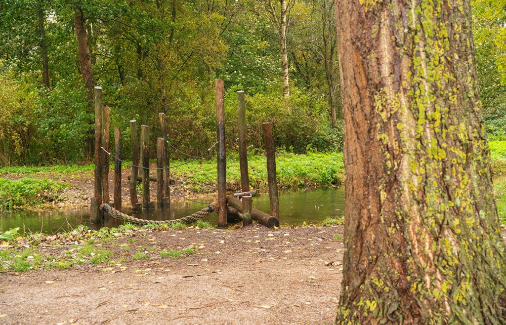 Speelelement in het Loetbos