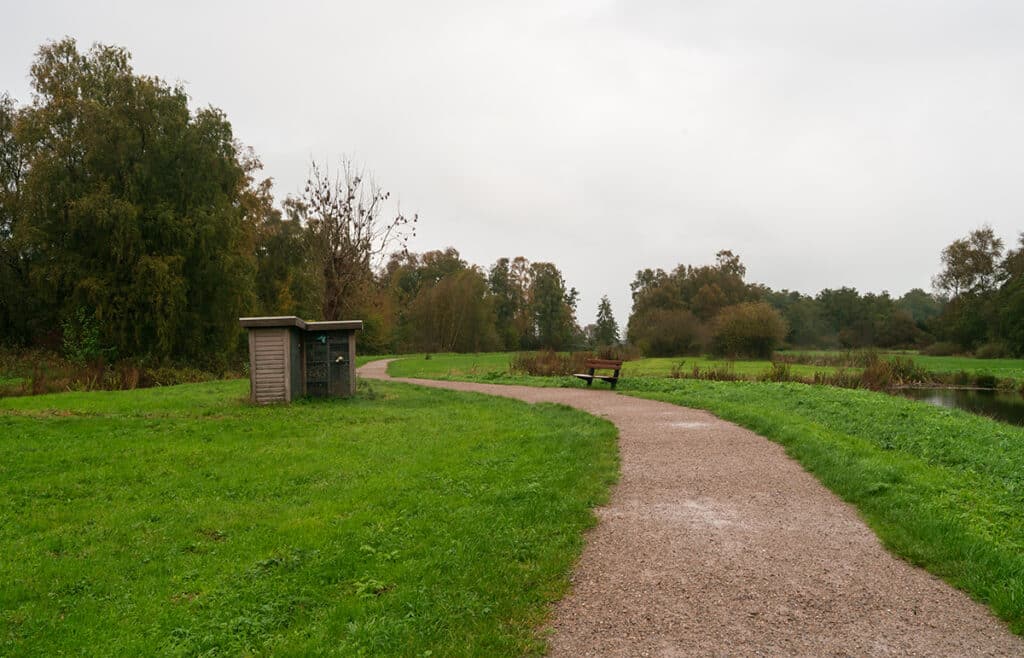 Wandelpad in het Loetbos