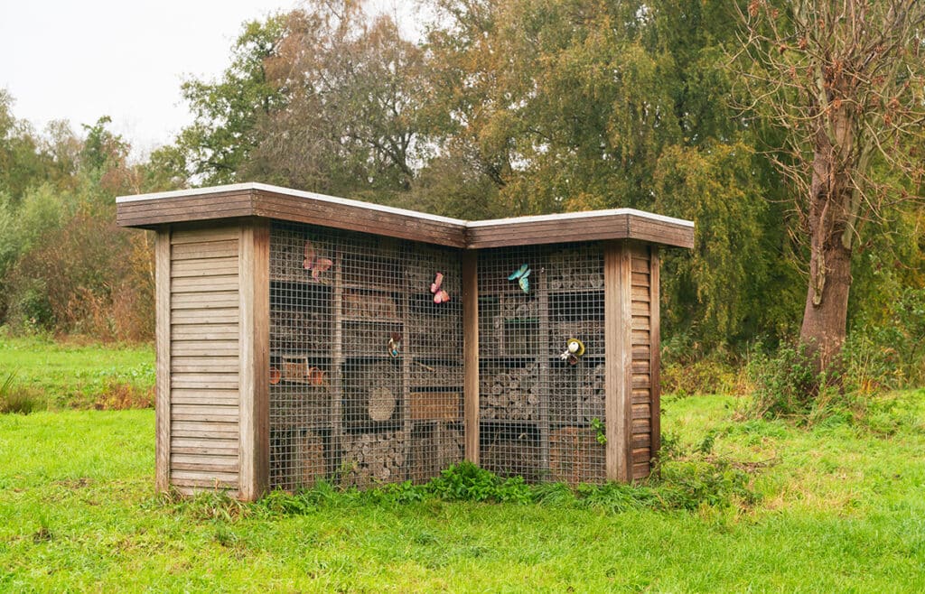 Bijenkast in het Loetbos
