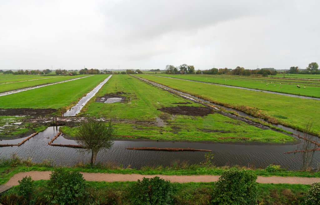 Uitzicht vanaf uitkijktoren Loetbos op slagenlandschap