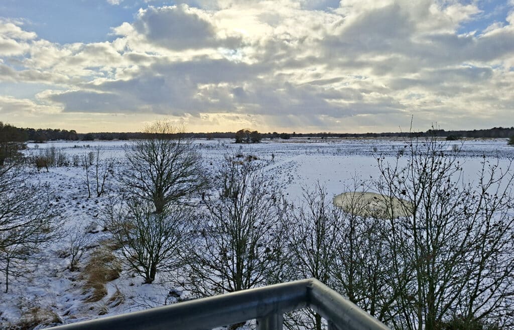 Uitzicht vanaf uitkijktoren Landschotse Heide