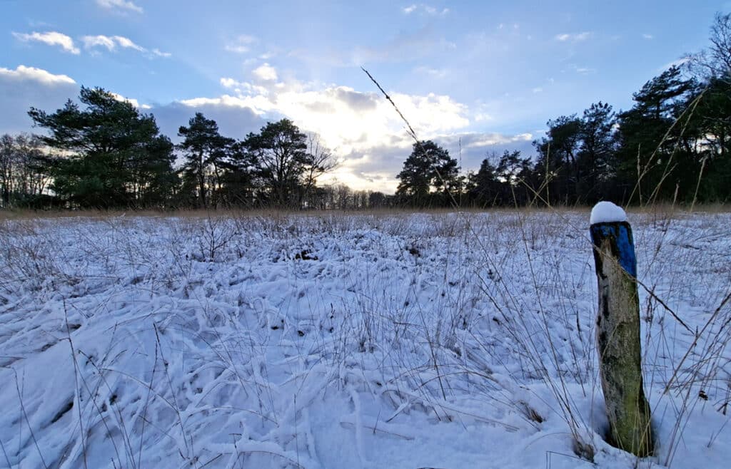 Blauw paaltje van wandelroute Blauw - Landschotse Heide