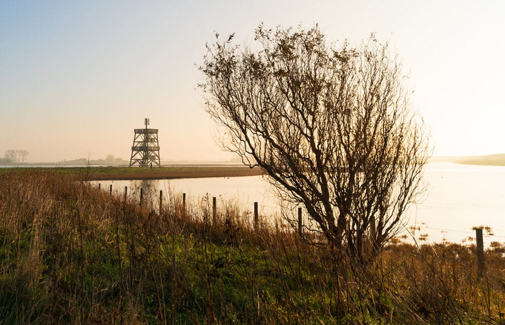 Uitkijktoren De Zuidkaap in Plan Tureluur
