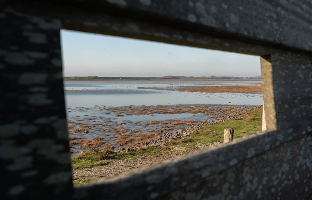 Kijkscherm in Plan Tureluur