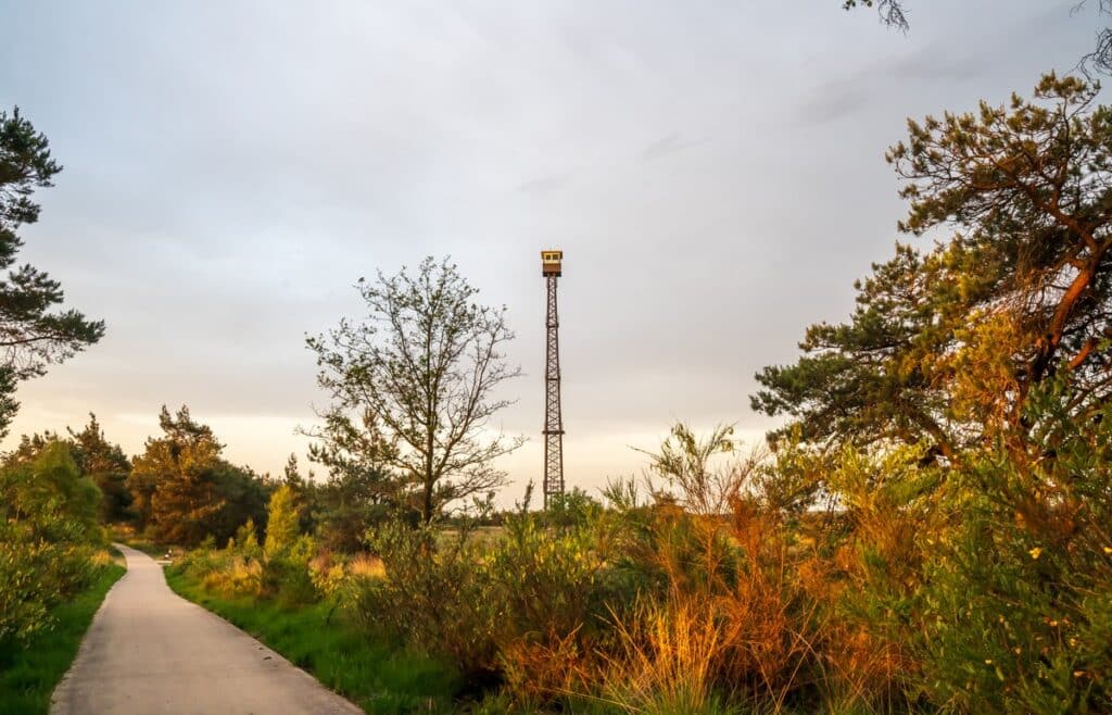 Brandtoren Rozendaalse Veld op Veluwezoom
